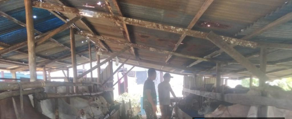 Giat Cegah PMK Oleh Serma Nofrianto Sinurat