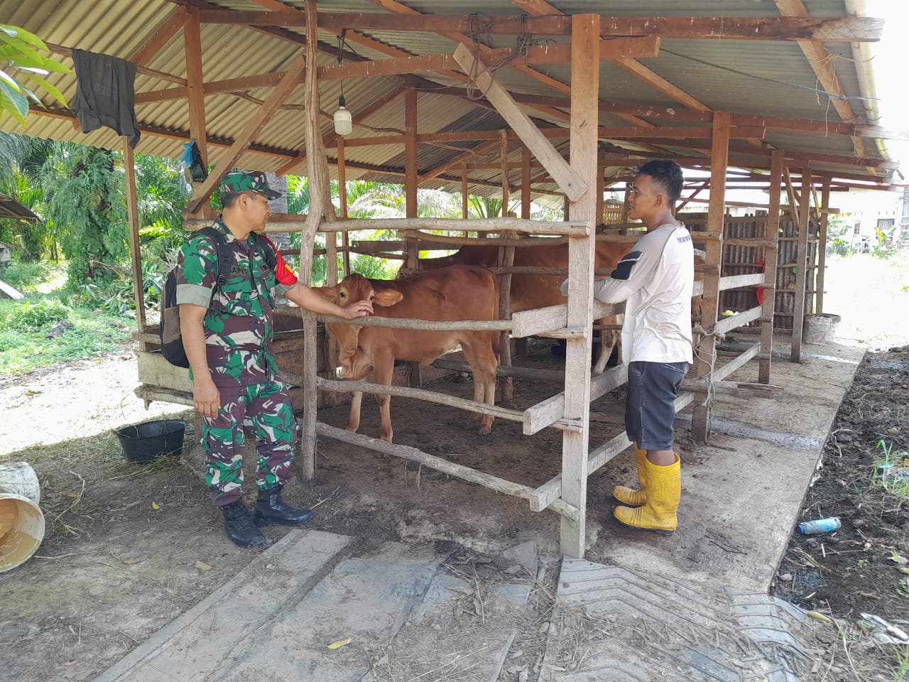 Giat Pelda Sapi'i Cegah PMK