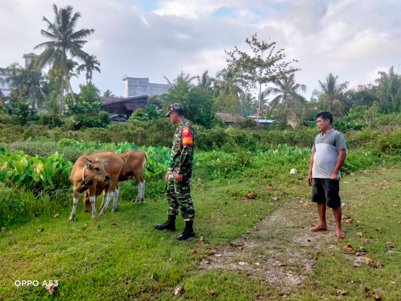 Terus Tekan Angka PMK, Sertu Engki Laksanakan Giat Pencegahan