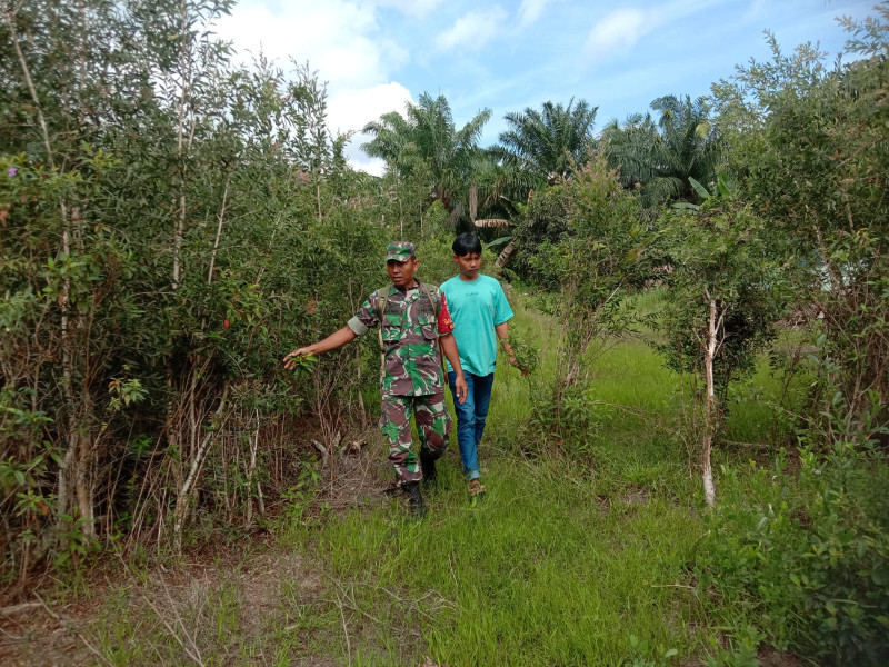 Babinsa Mundam Gencar Sosialisasi Karlahut di Medang Kampai
