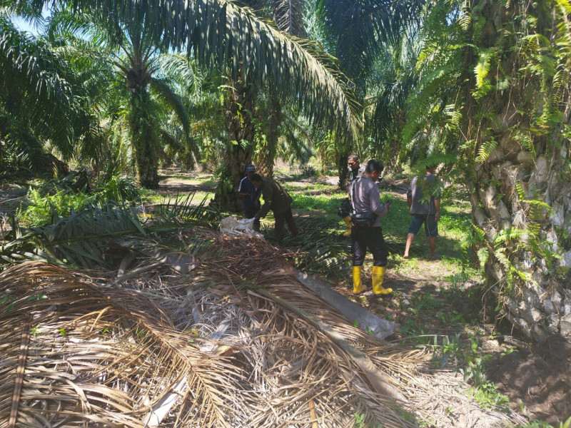 Upaya Preventif Serda Miftah Dalam Mencegah Karhutla