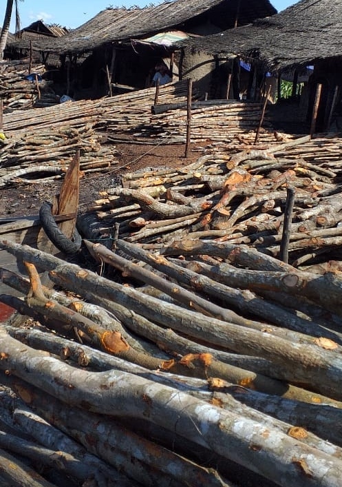 Diduga Perambahan Hutan Secara Illegal di Sungai Sembilan Terus Terjadi, Pemerintah Kemana ??