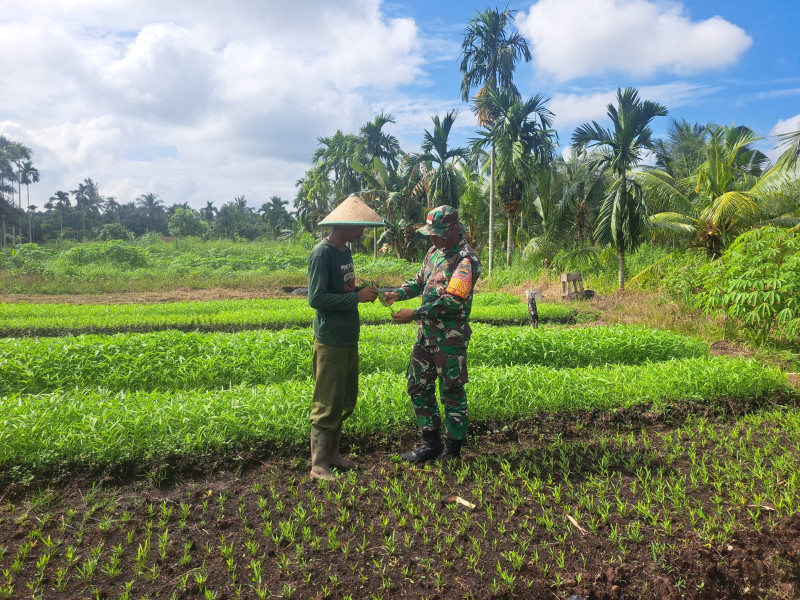 Serda Andri Widodo Dampingi Petani Kangkung