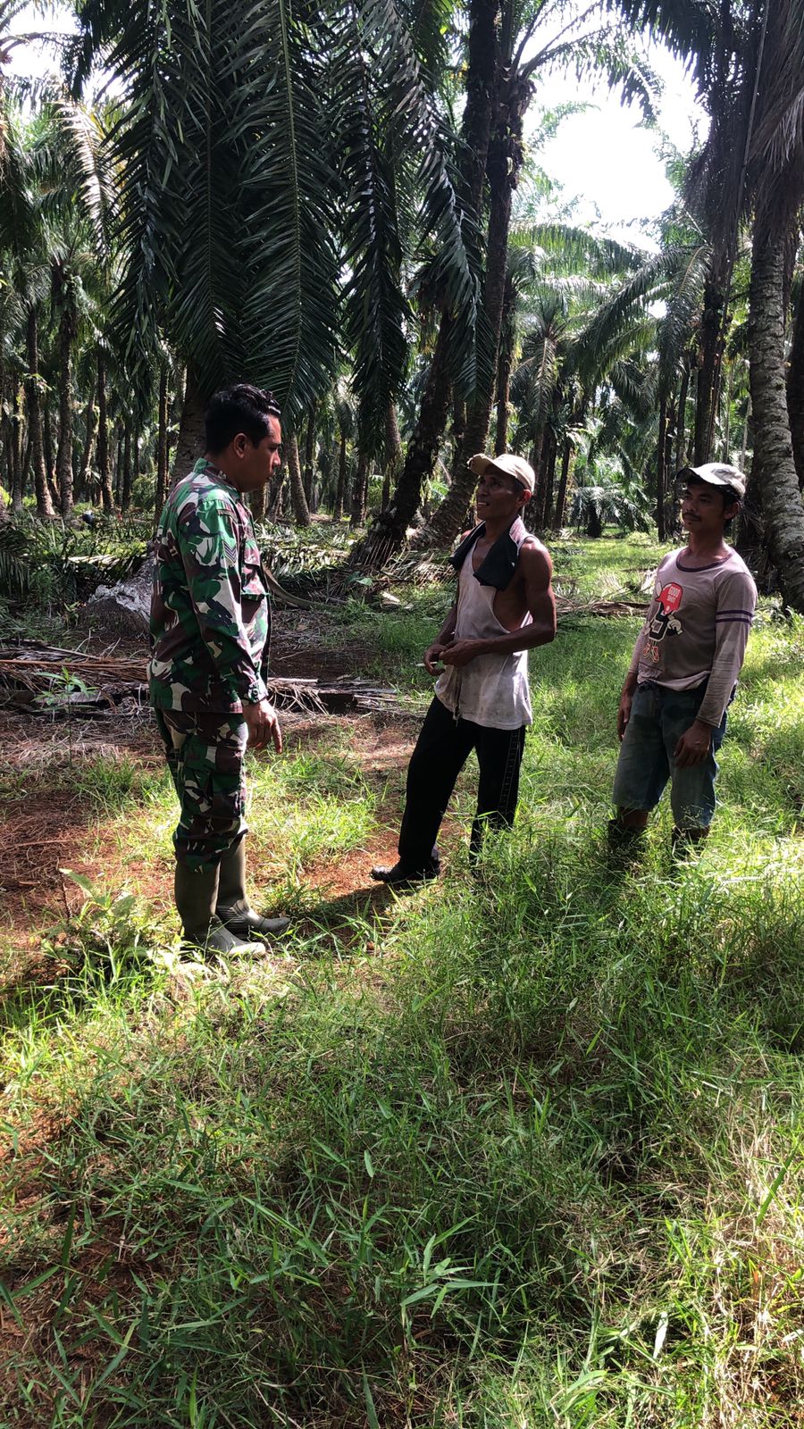 Komsos Guna Memantau Lahan dan Hutan Dilakukan Serma Novrianto