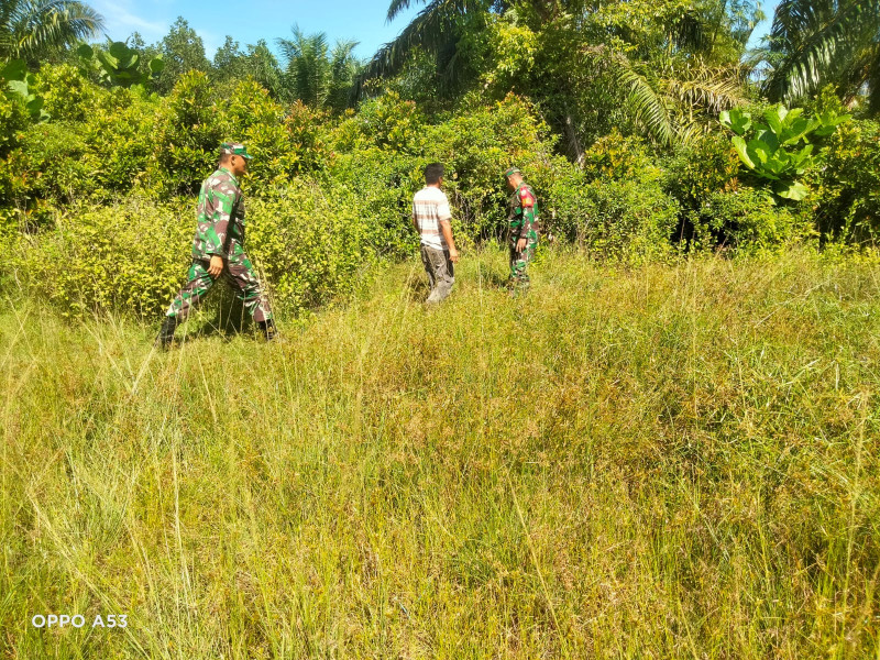 Upaya Pencegahan Karhutla Oleh Koramil 06 Merbau