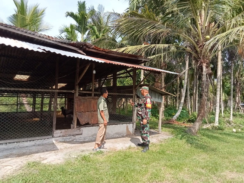 Serka Fahrizal Purba Berikan Sosialisasi Pencegahan PMK