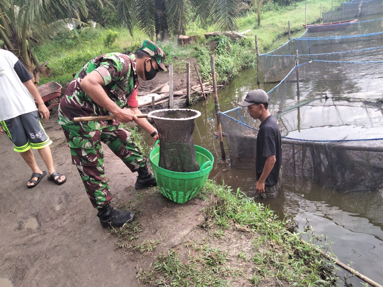 Sertu Sugianto Dampingi Peternak Ikan Lele