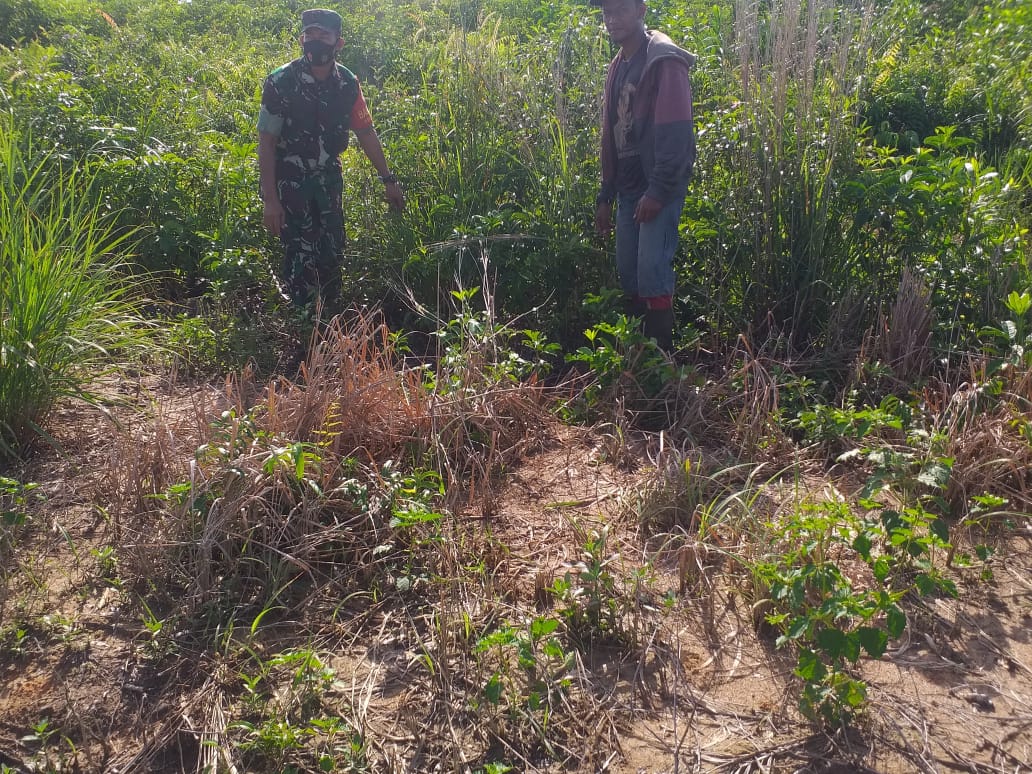 Cegah Karhutla, Ini Yang Dilakukan Sertu Sugianto