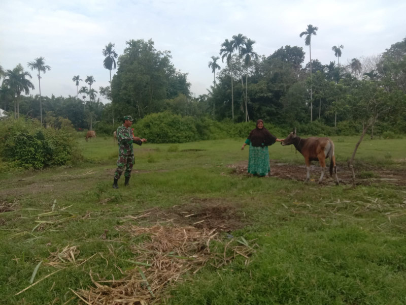 Sertu Ramli Temui Sri Selaku Peternak Untuk Menyampaikan Kiat Antisipasi PMK