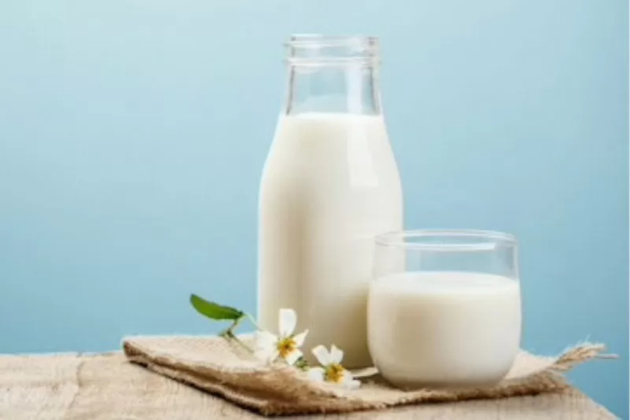 Manfaat Susu Kambing untuk Kesehatan Tubuh