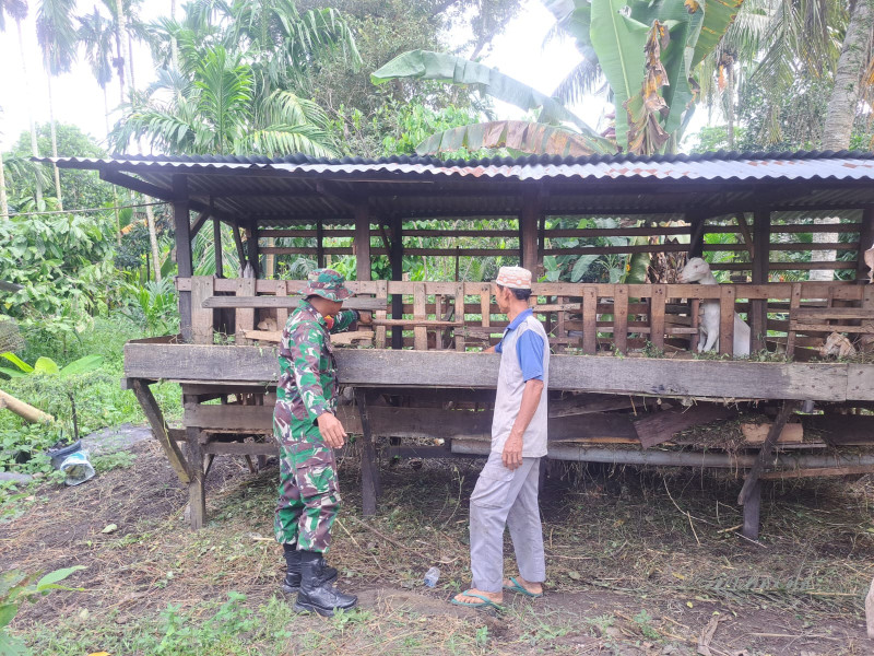 Sosialisasi Giat Cegah PMK Oleh Babinsa Koramil 01