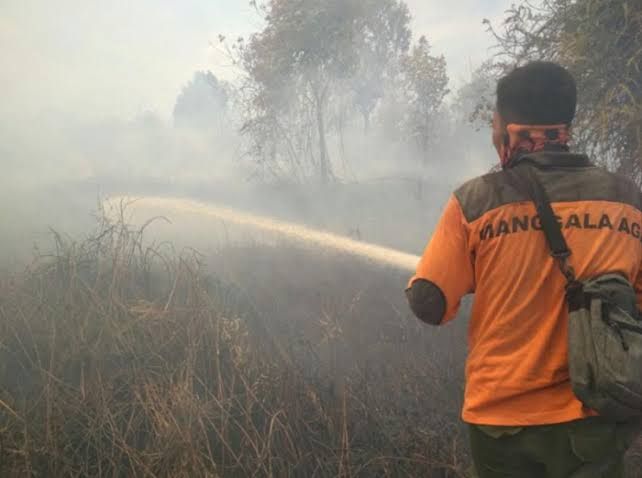 BPBD Riau Tingkatkan Pengawasan Karhutla