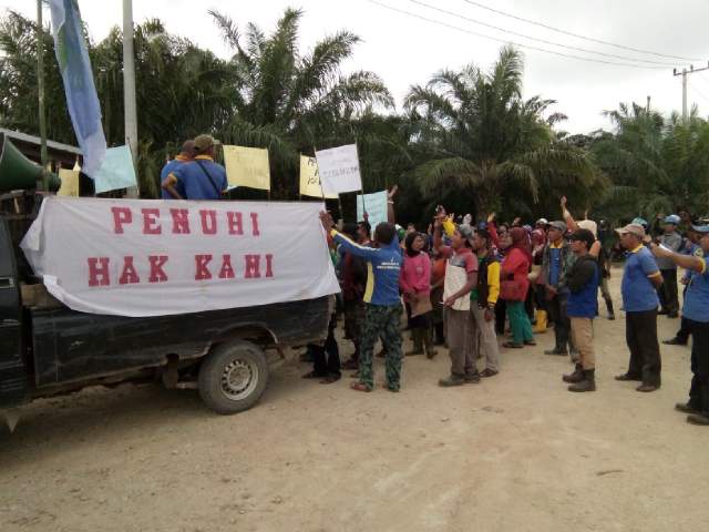 Ratusan Buruh PT MAS Bengkalis Demo, Menuntut Hak dan Merasa Diperlakukan Tak Adil