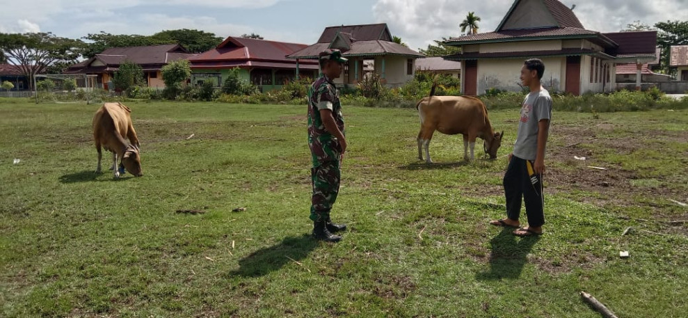 Serda Edi Saputra Laksanakan Monitoring Wilayah Cegah PMK