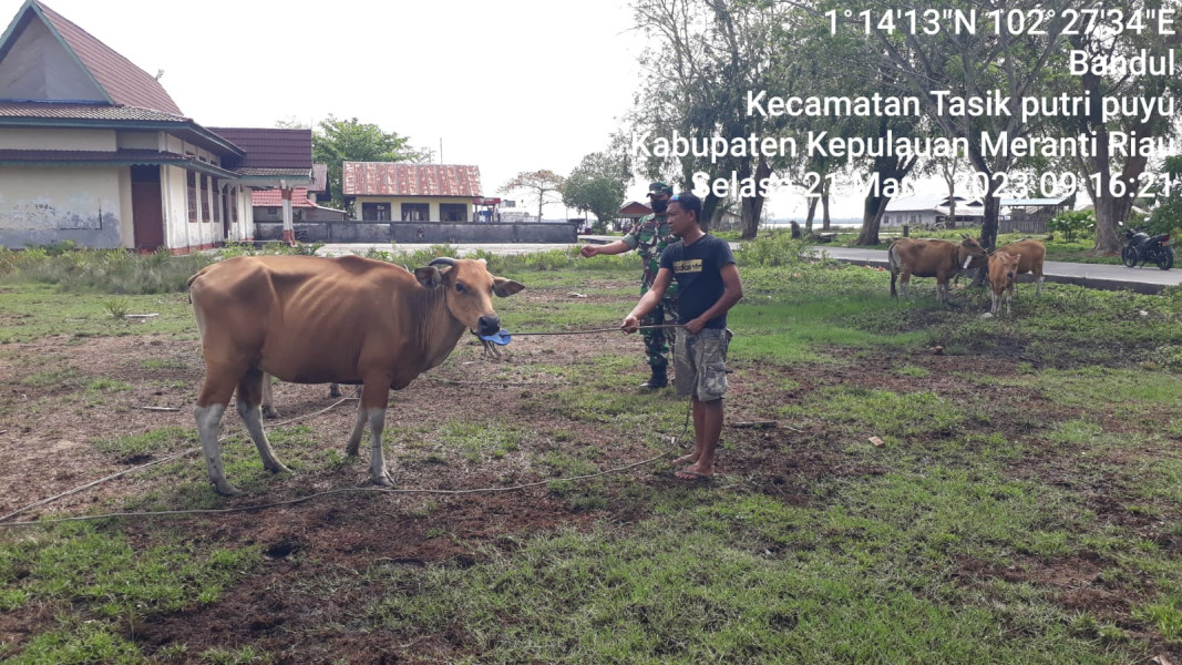 Pelda Albiker Berikan Edukasi Terkait Pencegahan PMK