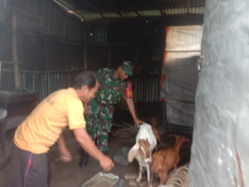 Serda Agustinus Berikan Sosialisasi Kepada Peternak Terkait Pencegahan PMK