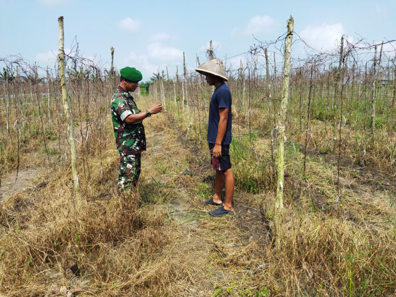 Tugas Koramil 01 Melalui Babinsa Guna Cegah Karhutla