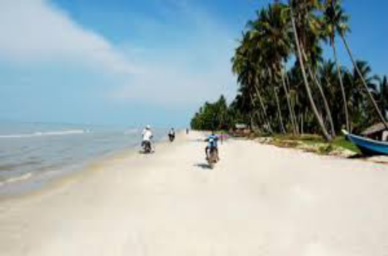 Mahasiswa Rupat Meminta Gubernur Riau Cabut Izin Pt Logomas Utama Di Pulau Rupat