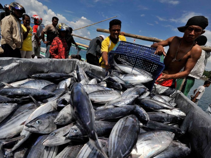 Gubri Klaim Produksi Perikanan Riau Terus Meningkat