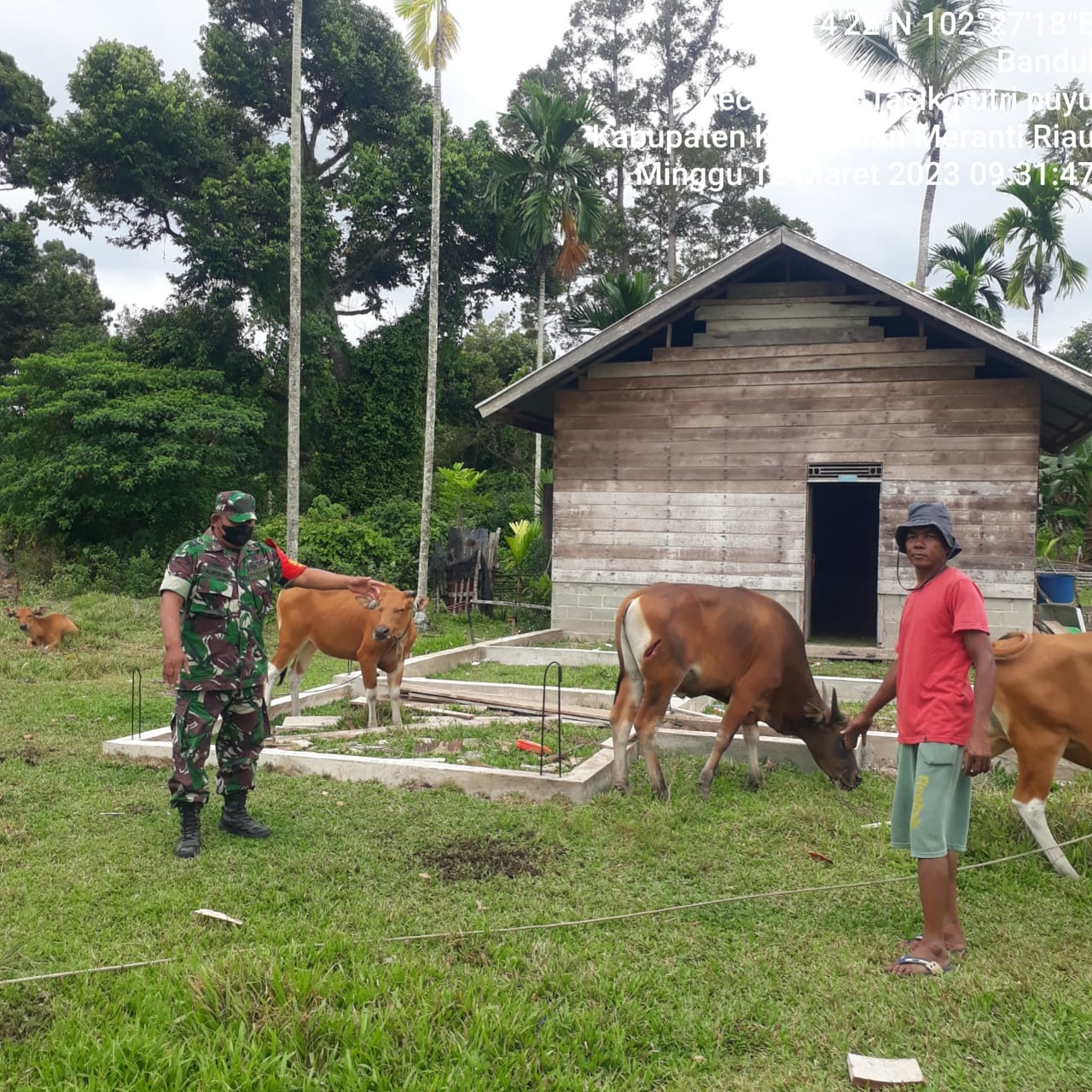 Upaya Pencegahan PMK Oleh Babinsa Koramil 06