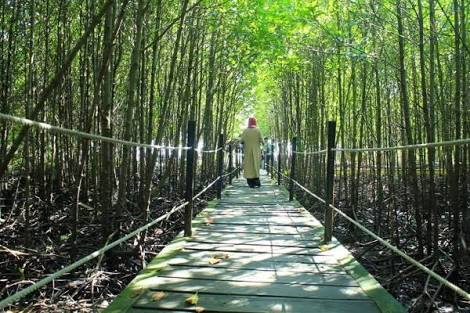 Diskopar Dumai Terus Benahi Tempat-Tempat Wisata