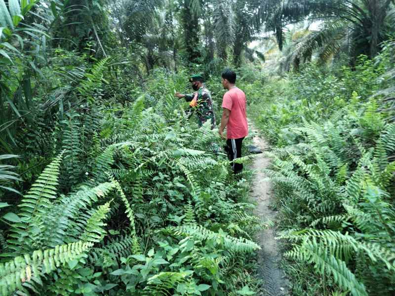 Sertu Sugianto Mencegah Potensi Karhutla Dengan Berpatroli
