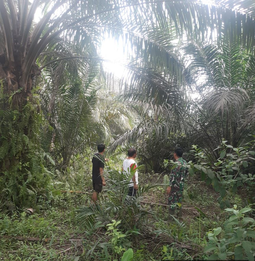 Sinergitas Antara Babinsa dan Masyarakat Dalam Menjaga Lingkungan Dari Karhutla