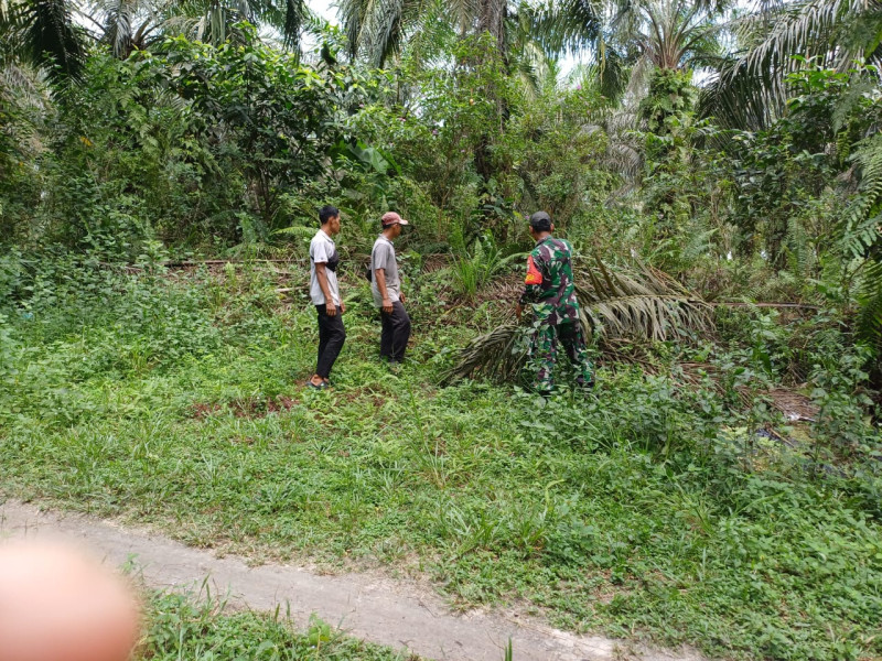 Babinsa Kelurahan Gurun Panjang Gencarkan Patroli dan Sosialisasi Cegah Karhutla