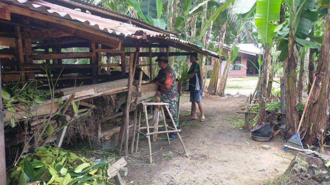 Pemantauan Untuk Mencegah PMK Dilaksanakan Oleh Sertu Jum'at Desmanto