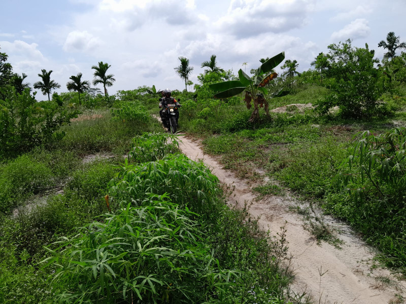 Babinsa Kelurahan Bukit Timah Lakukan Patroli Karhutla dan Sosialisasi Bahaya Membakar Lahan