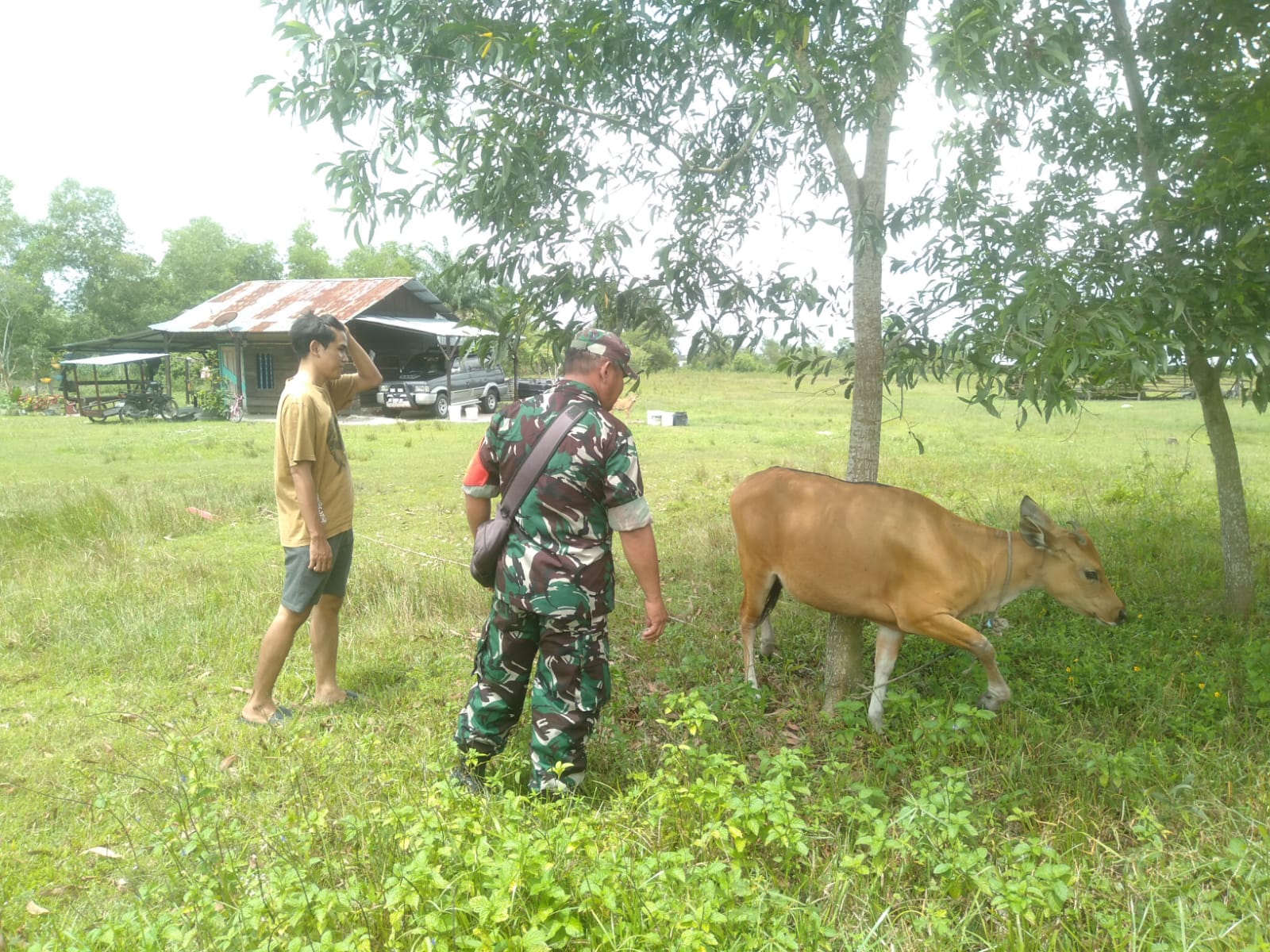 Serka Fahrizal Purba Laksanakan Sosialisasi Pencegahan PMK