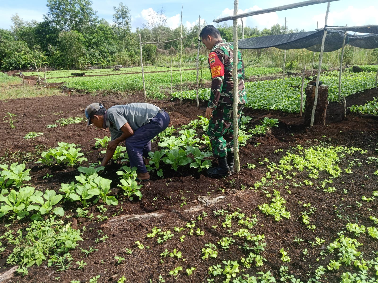 Serda Boby Rahman Laksanakan Pendampingan Karya Nyata