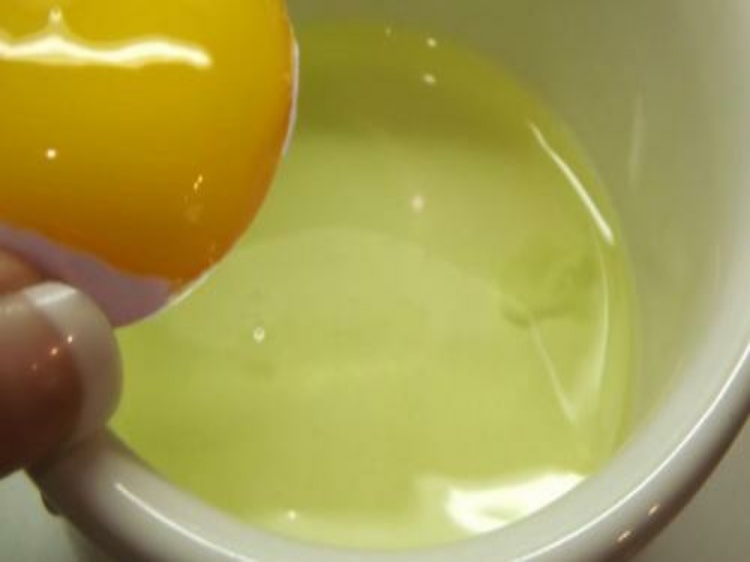 Putih Telur Berkhasiat untuk Perkembangan Otot