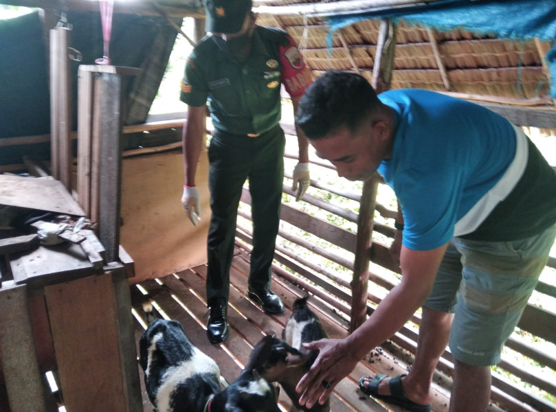 Peduli Peternak, Serka Eri Efrianto Laksanakan Sosialisasi Pencegahan PMK