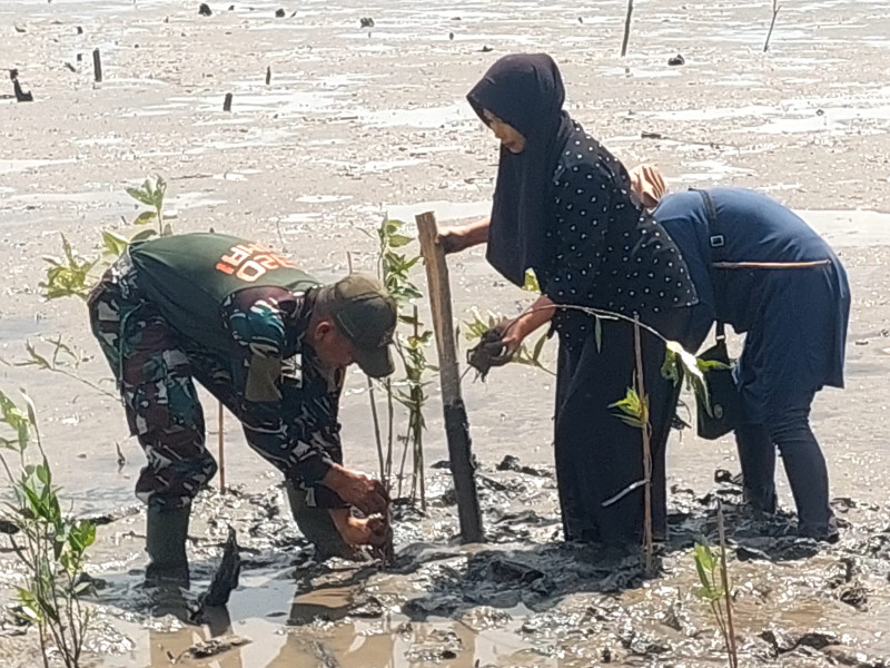 Dandim 0320/Dumai Tanam 2000 Pohon Mangrove di Pantai Taisan Untuk Peringati Hari Mangrove Sedunia