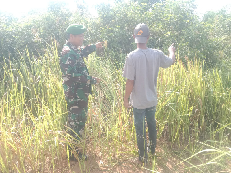 Babinsa Serda SMP Sinaga Laksanakan Patroli dan Komsos