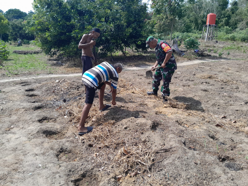 Serma F Purba Dampingi Petani di RT 15 Dumai Selatan