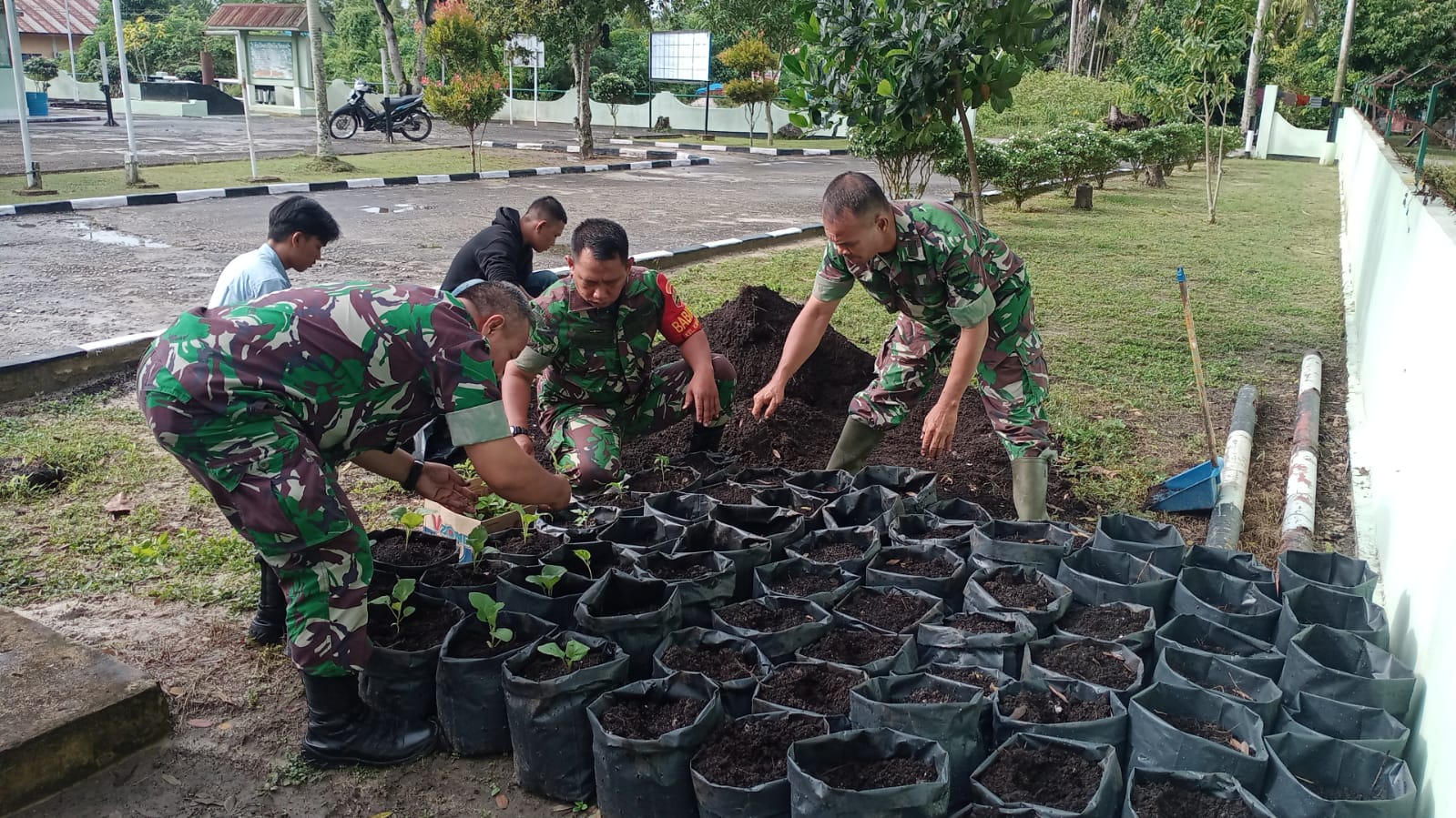 Anggota Koramil 02/BK Melaksanakan Giat Penanaman Sayur-sayuran di Makoramil