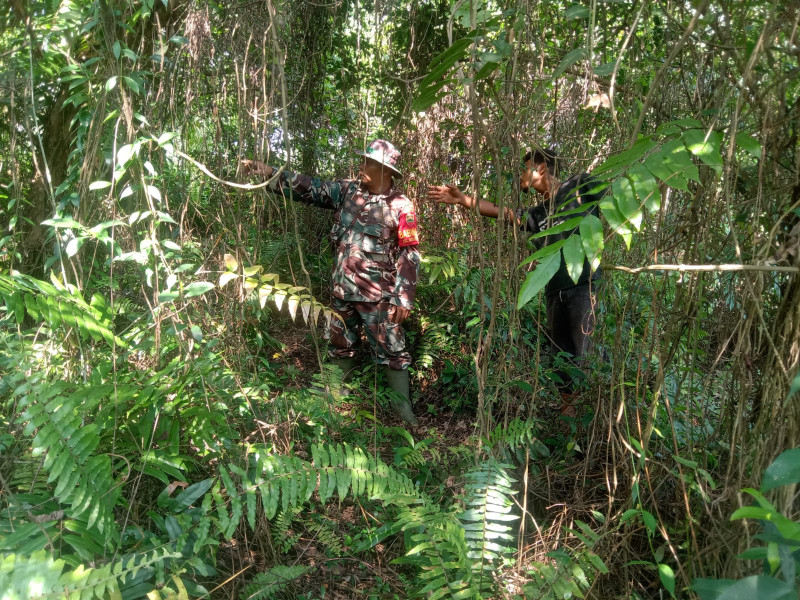Menggugah Kesadaran Masyarakat Untuk Mengantisipasi Karhutla, Serka Suandi Laksanakan Sosialisasi
