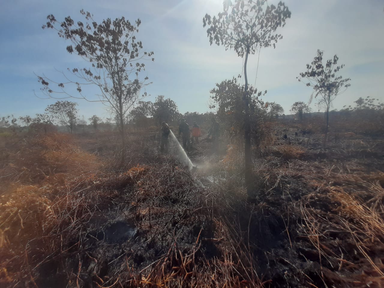 Koramil/04 PWK Lakukan Pendinginan di Lahan Karhutla