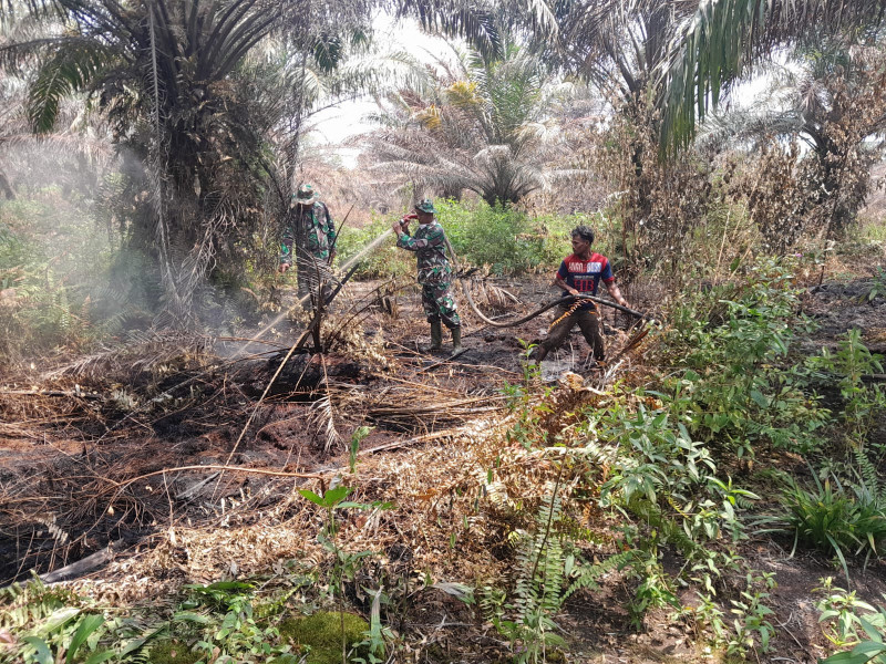 Pendinginan Hutan Dilakukan Tim Gabungan Koramil PWK 04