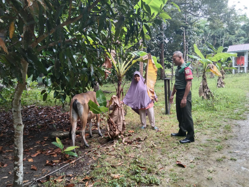 Kopda Ricko Ajak Masyarakat Bersama-sama Cegah PMK
