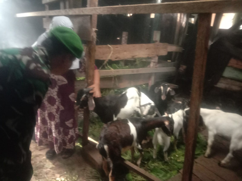 Serda SMP Sinaga Sambangi Masyarakat Guna Jelaskan Bahaya PMK