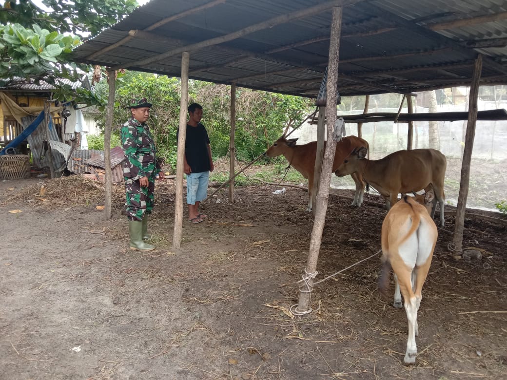 Sertu Sutiono Melaksanakan Giat Sosialisasi Pencegahan PMK
