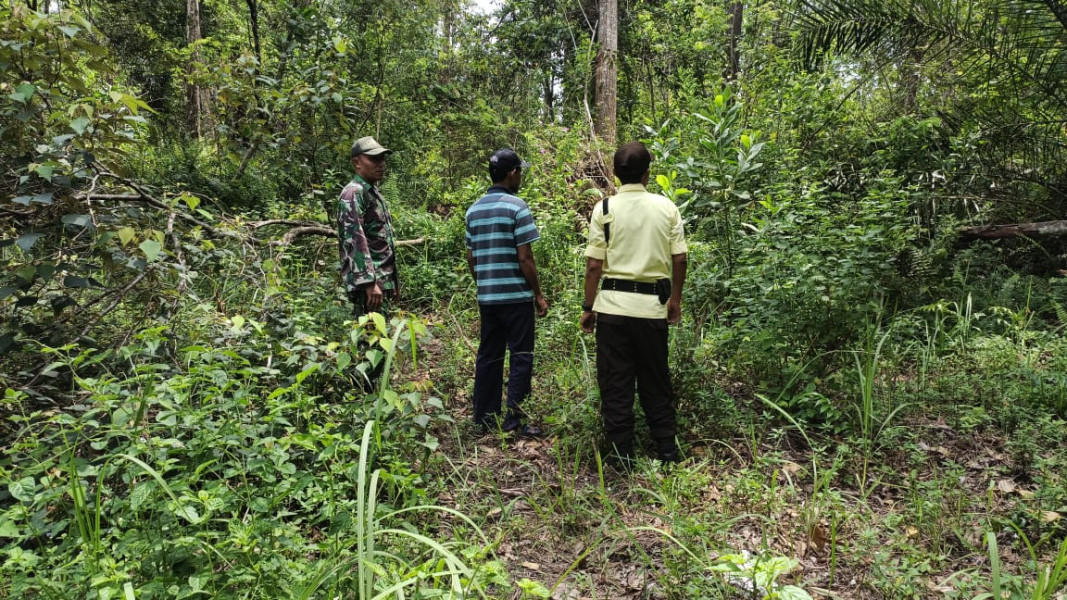 Babinsa Koramil 02/BK Gelar Patroli Cegah Karhutla di Kelurahan Bukit Kapur