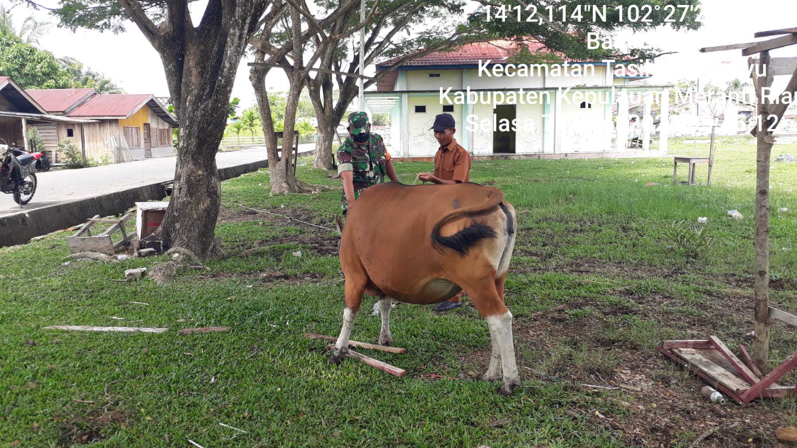 Pelda A Nababan Cek Kesehatan Hewan Cegah PMK