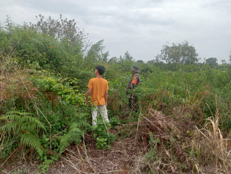 Babinsa Koramil-01/Dumai Rutin Gelar Patroli Cegah Karhutla