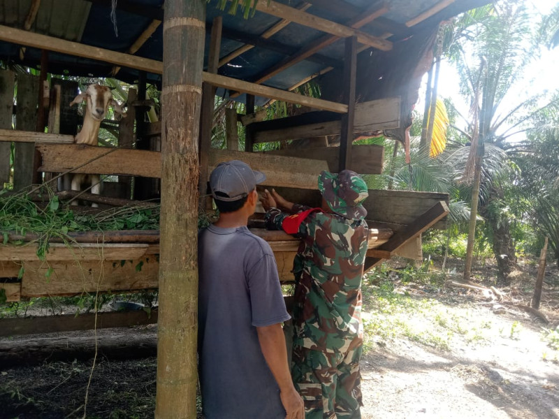 Awal Februari, Serka Suandi Libatkan Masyarakat Untuk Mencegah PMK