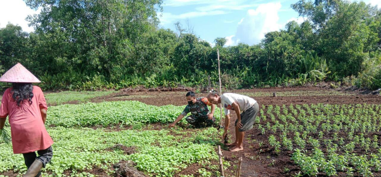 Sertu Mahyudin Lakukan Pendampingan Karya Nyata dan Ingatkan Bahaya Karhutla