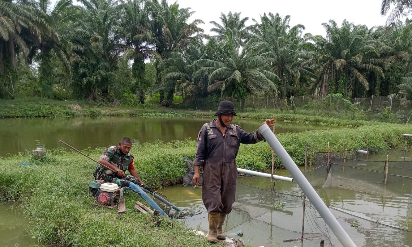 Babinsa Kelurahan Bukit Datuk Laksanakan Pendampingan Karya Nyata